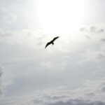 Jesus folgen #2: Freiheit finden mit „Keys to Freedom“